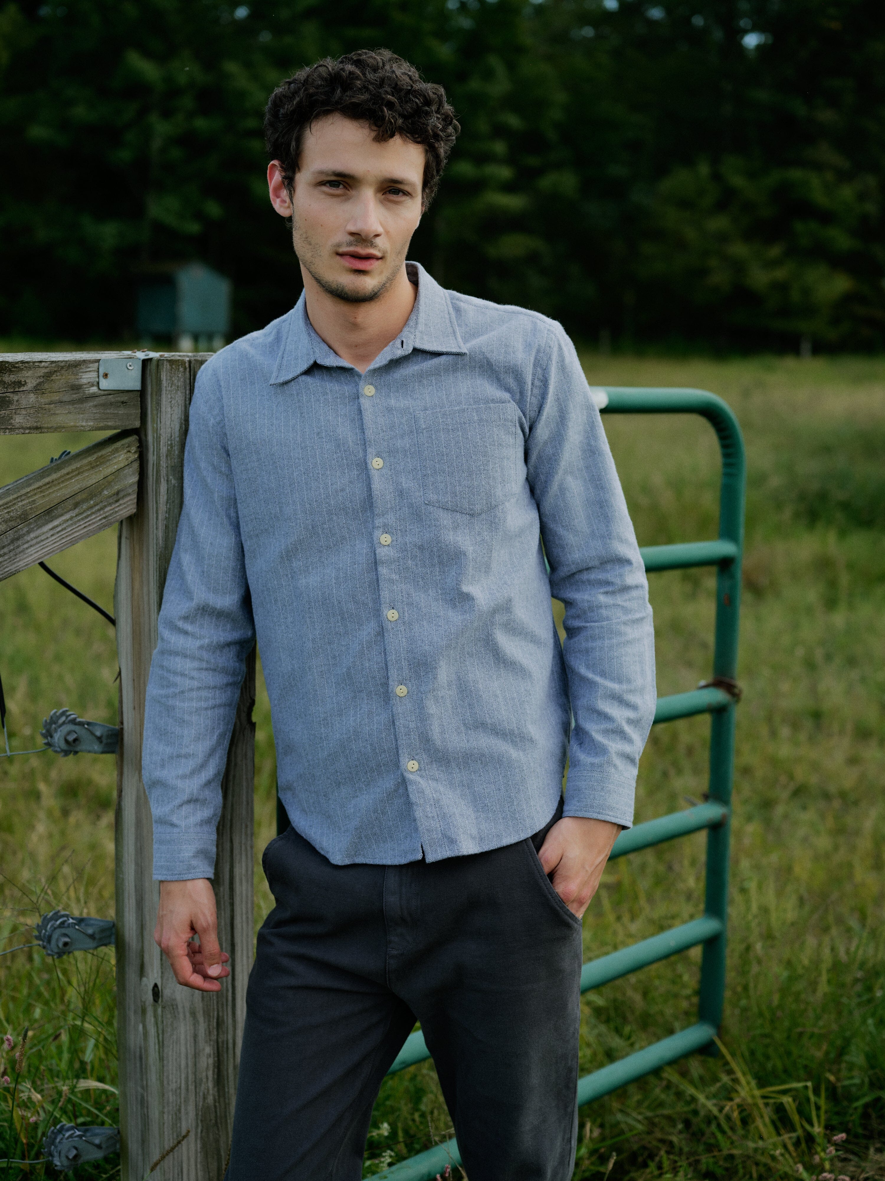 Accord Shirt in Cotton Flannel